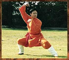 Great Master of Martial Arts in colour